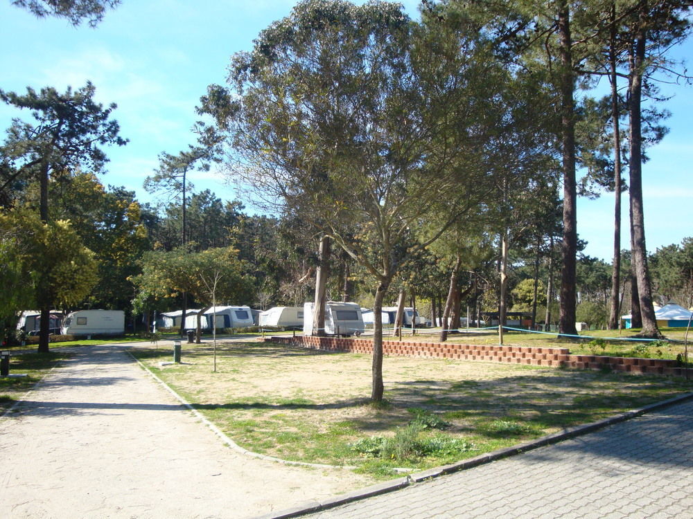فندق Parque De Campismo Orbitur كامينيا المظهر الخارجي الصورة